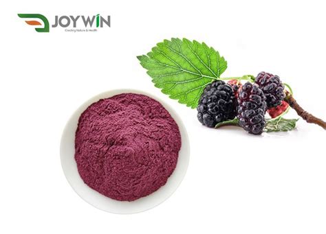 High Quality Mulberry Fruit Powder Manufacturers Suppliers.